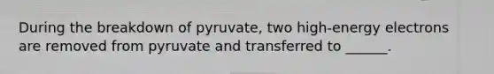 During the breakdown of pyruvate, two high-energy electrons are removed from pyruvate and transferred to ______.