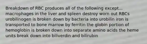 Breakdown of RBC produces all of the following except... macrophages in the liver and spleen destroy worn out RBCs urobilinogen is broken down by bacteria into urobilin iron is transported to bone marrow by ferritin the globin portion of hemoglobin is broken down into separate amino acids the heme units break down into biliverdin and bilirubin