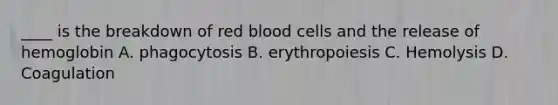 ____ is the breakdown of red blood cells and the release of hemoglobin A. phagocytosis B. erythropoiesis C. Hemolysis D. Coagulation