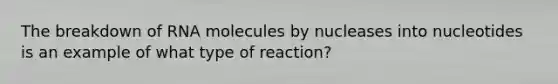 The breakdown of RNA molecules by nucleases into nucleotides is an example of what type of reaction?