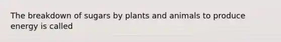 The breakdown of sugars by plants and animals to produce energy is called