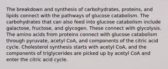 The breakdown and synthesis of carbohydrates, proteins, and lipids connect with the pathways of glucose catabolism. The carbohydrates that can also feed into glucose catabolism include galactose, fructose, and glycogen. These connect with glycolysis. The <a href='https://www.questionai.com/knowledge/k9gb720LCl-amino-acids' class='anchor-knowledge'>amino acids</a> from proteins connect with glucose catabolism through pyruvate, acetyl CoA, and components of the citric acid cycle. Cholesterol synthesis starts with acetyl CoA, and the components of triglycerides are picked up by acetyl CoA and enter the citric acid cycle.