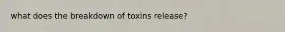 what does the breakdown of toxins release?