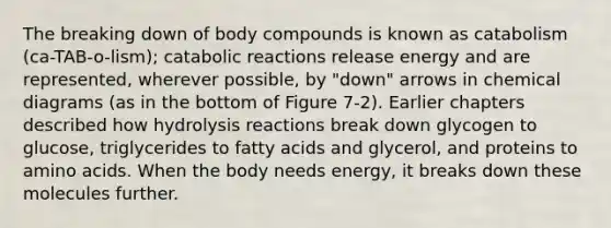 The breaking down of body compounds is known as catabolism (ca-TAB-o-lism); catabolic reactions release energy and are represented, wherever possible, by "down" arrows in chemical diagrams (as in the bottom of Figure 7-2). Earlier chapters described how hydrolysis reactions break down glycogen to glucose, triglycerides to fatty acids and glycerol, and proteins to <a href='https://www.questionai.com/knowledge/k9gb720LCl-amino-acids' class='anchor-knowledge'>amino acids</a>. When the body needs energy, it breaks down these molecules further.