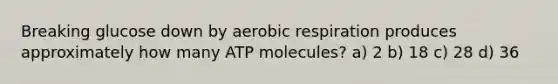 Breaking glucose down by aerobic respiration produces approximately how many ATP molecules? a) 2 b) 18 c) 28 d) 36