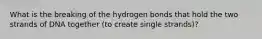 What is the breaking of the hydrogen bonds that hold the two strands of DNA together (to create single strands)?