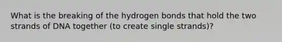 What is the breaking of the hydrogen bonds that hold the two strands of DNA together (to create single strands)?