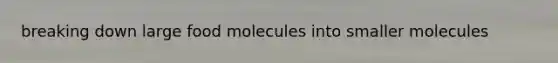 breaking down large food molecules into smaller molecules