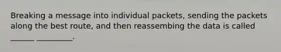 Breaking a message into individual packets, sending the packets along the best route, and then reassembing the data is called ______ _________.