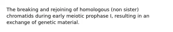 The breaking and rejoining of homologous (non sister) chromatids during early meiotic prophase I, resulting in an exchange of genetic material.