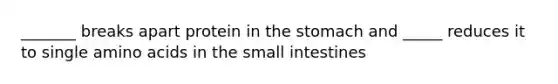 _______ breaks apart protein in the stomach and _____ reduces it to single amino acids in the small intestines
