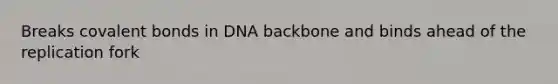 Breaks <a href='https://www.questionai.com/knowledge/kWply8IKUM-covalent-bonds' class='anchor-knowledge'>covalent bonds</a> in DNA backbone and binds ahead of the replication fork