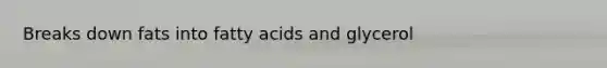 Breaks down fats into fatty acids and glycerol