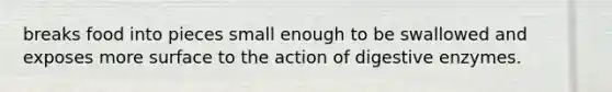 breaks food into pieces small enough to be swallowed and exposes more surface to the action of <a href='https://www.questionai.com/knowledge/kK14poSlmL-digestive-enzymes' class='anchor-knowledge'>digestive enzymes</a>.