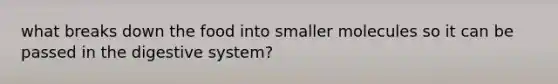 what breaks down the food into smaller molecules so it can be passed in the digestive system?