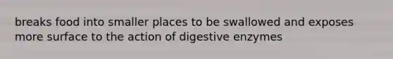 breaks food into smaller places to be swallowed and exposes more surface to the action of digestive enzymes