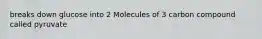 breaks down glucose into 2 Molecules of 3 carbon compound called pyruvate