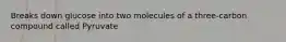 Breaks down glucose into two molecules of a three-carbon compound called Pyruvate