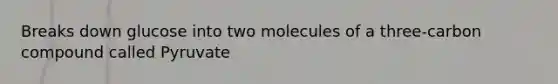 Breaks down glucose into two molecules of a three-carbon compound called Pyruvate