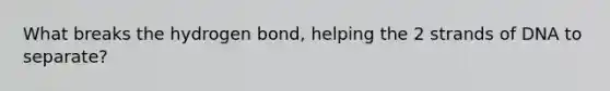 What breaks the hydrogen bond, helping the 2 strands of DNA to separate?