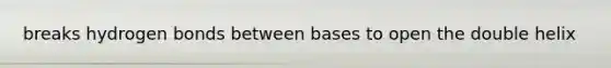 breaks hydrogen bonds between bases to open the double helix