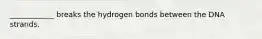 ____________ breaks the hydrogen bonds between the DNA strands.