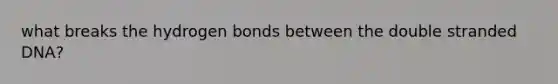 what breaks the hydrogen bonds between the double stranded DNA?