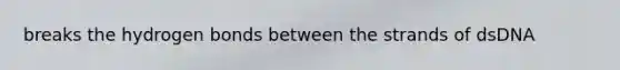 breaks the hydrogen bonds between the strands of dsDNA