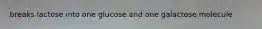 breaks lactose into one glucose and one galactose molecule