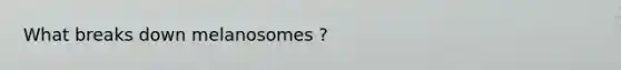 What breaks down melanosomes ?