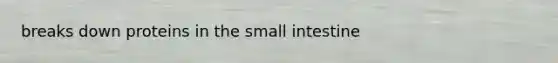 breaks down proteins in the small intestine