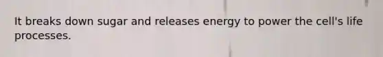It breaks down sugar and releases energy to power the cell's life processes.