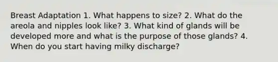 Breast Adaptation 1. What happens to size? 2. What do the areola and nipples look like? 3. What kind of glands will be developed more and what is the purpose of those glands? 4. When do you start having milky discharge?