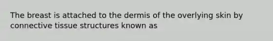 The breast is attached to the dermis of the overlying skin by connective tissue structures known as