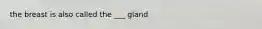 the breast is also called the ___ gland