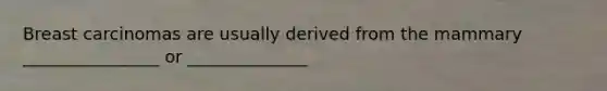 Breast carcinomas are usually derived from the mammary ________________ or ______________