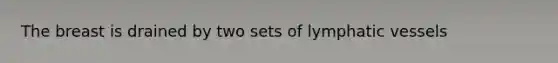 The breast is drained by two sets of lymphatic vessels