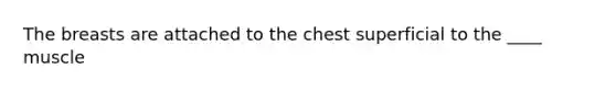 The breasts are attached to the chest superficial to the ____ muscle