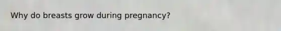 Why do breasts grow during pregnancy?