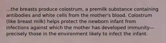 ...the breasts produce colostrum, a premilk substance containing antibodies and white cells from the mother's blood. Colostrum (like breast milk) helps protect the newborn infant from infections against which the mother has developed immunity—precisely those in the environment likely to infect the infant.