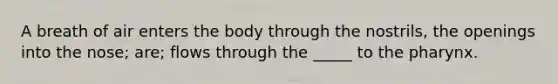 A breath of air enters the body through the nostrils, the openings into the nose; are; flows through the _____ to the pharynx.