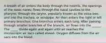 A breath of air enters the body through the nostrils, the openings of the nose; nares; flows through the nasal cavities to the pharynx; through the larynx, popularly known as the voice box; and into the trachea, or windpipe. Air then enters the right or left primary bronchus. One bronchus enters each lung. After passing through smaller branches of the bronchi, air flows into the ______. The _____ divide again and again until air reaches the microscopic air sacs called alveoli. Oxygen diffuses from the air sacs into the blood.