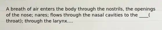 A breath of air enters the body through the nostrils, the openings of the nose; nares; flows through the nasal cavities to the ____( throat); through the larynx....