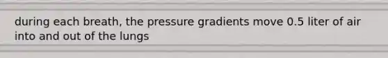 during each breath, the pressure gradients move 0.5 liter of air into and out of the lungs