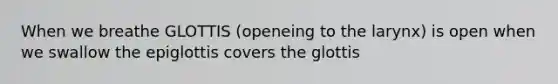 When we breathe GLOTTIS (openeing to the larynx) is open when we swallow the epiglottis covers the glottis