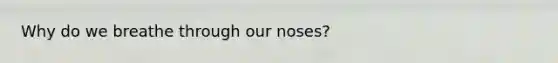 Why do we breathe through our noses?