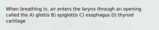 When breathing in, air enters the larynx through an opening called the A) glottis B) epiglottis C) esophagus D) thyroid cartilage