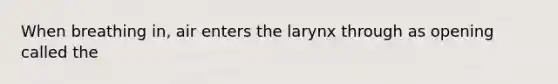 When breathing in, air enters the larynx through as opening called the