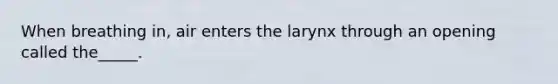 When breathing in, air enters the larynx through an opening called the_____.