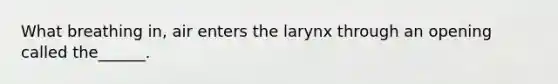 What breathing in, air enters the larynx through an opening called the______.